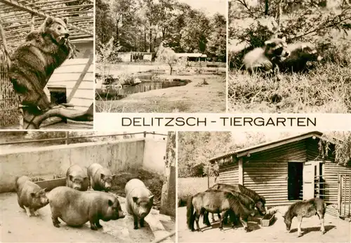 AK / Ansichtskarte 73940495 Zoo_Gardin_Zoologique-- Delitzsch Baer Poni Schwein 