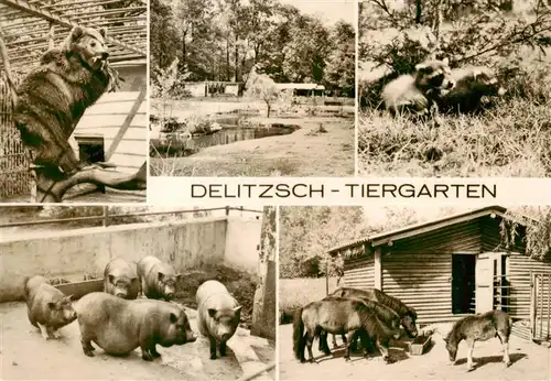 AK / Ansichtskarte  Zoo_Gardin_Zoologique-- Delitzsch Baer Poni Schwein 