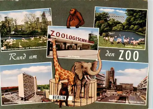 AK / Ansichtskarte 73940497 Zoo_Gardin_Zoologique-- Berlin Flamingos Bahnhof Zentrum