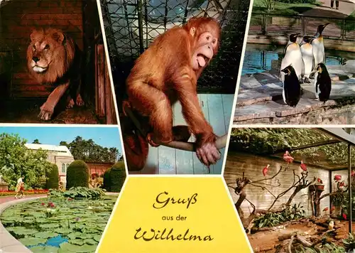 AK / Ansichtskarte  Zoo_Gardin_Zoologique-- Wilhelma  Pinguin Affe Loewe 