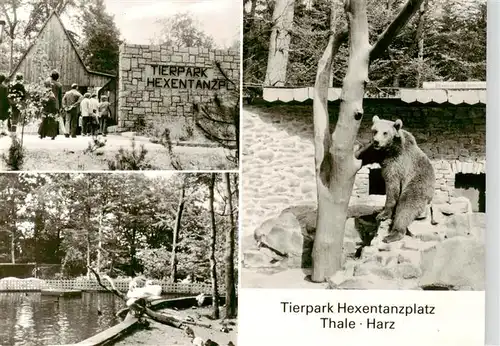 AK / Ansichtskarte 73940500 Zoo_Gardin_Zoologique-- Hexentanzplatz Thale Harz Baer 