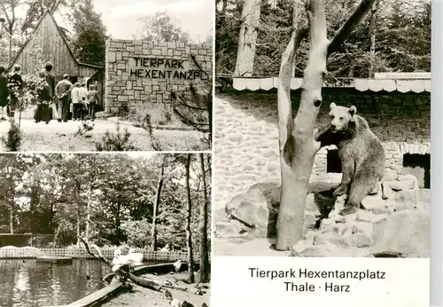 AK / Ansichtskarte  Zoo_Gardin_Zoologique-- Hexentanzplatz Thale Harz Baer 