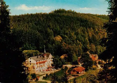 AK / Ansichtskarte 73940557 Hoelle_Bad_Steben_Hoellental Hotel Koenig David Luftkurort