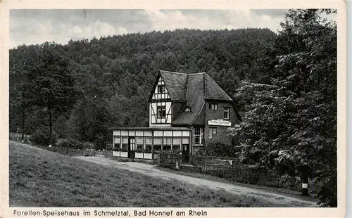 AK / Ansichtskarte  Bad_Honnef_NRW Forellen Speisehaus im Schmelztal