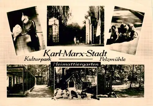 AK / Ansichtskarte 73940839 Zoo_Gardin_Zoologique-- Karl-Max-Stadt Pelzmuehle Eingang Papagai Pony