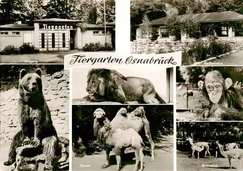 AK / Ansichtskarte 73940857 Zoo_Gardin_Zoologique-- Osnabrueck Loewe Schimpanse Kamel Baer Guanakos