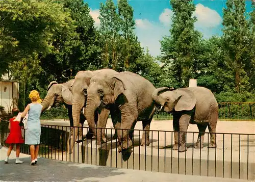 AK / Ansichtskarte  Elefant Tierpark Duisburg