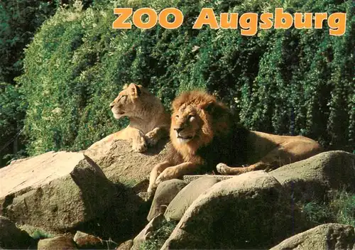 AK / Ansichtskarte  Loewe_Lion-- Indische Zoo Augsburg 