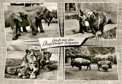 AK / Ansichtskarte  Zoo_Gardin_Zoologique-- Augsburg Elefant Baer Loewe 