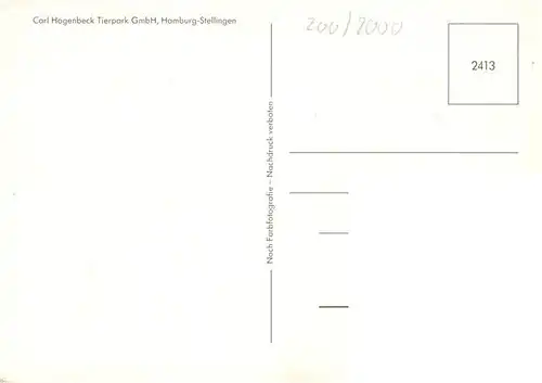 AK / Ansichtskarte  Zoo_Gardin_Zoologique-- Carl Hagenbecks Hamburg-Stellingen Tieger Elefant Lama 