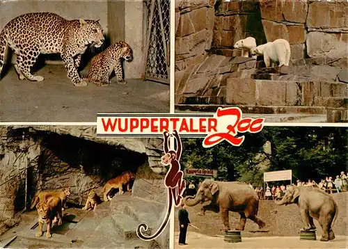 AK / Ansichtskarte  Zoo_Gardin_Zoologique-- Wuppertal Elefant Loewe Leopard Eisbaer