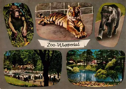 AK / Ansichtskarte  Zoo_Gardin_Zoologique-- Wuppertal Loewe Elefant Affe