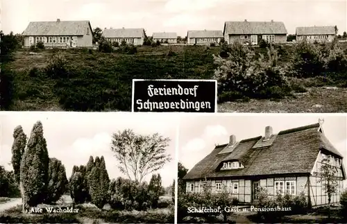 AK / Ansichtskarte  Schneverdingen Feriendorf Alte Wacholder Schaeferhof Gast und Pensionhaus