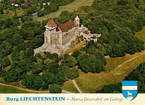 AK / Ansichtskarte  Maria-Enzersdorf_AT Burg Liechtenstein Fliegeraufnahme