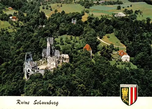 AK / Ansichtskarte 73941155 Eferding_Oberoesterreich_AT Ruine Schaunburg Fliegeraufnahme