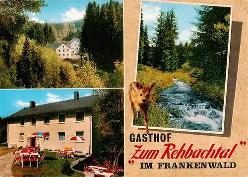 AK / Ansichtskarte 73941258 Grafengehaig Gasthof zum Rehbachtal Waldpartie Bach Reh