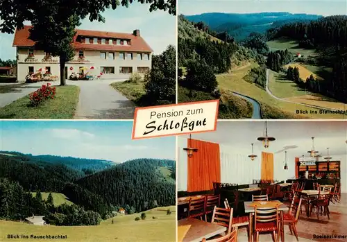 AK / Ansichtskarte 73941266 Schlopp Gasthaus Pension Schlossgut Landschaftspanorama Rauschbachtal Steinachtal Frankenwald