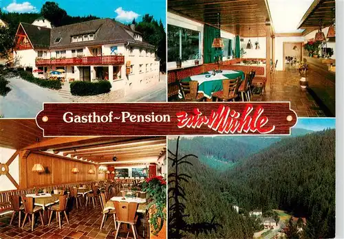 AK / Ansichtskarte  Schuebelhammer Gasthof Pension zur Muehle Landschaftspanorama