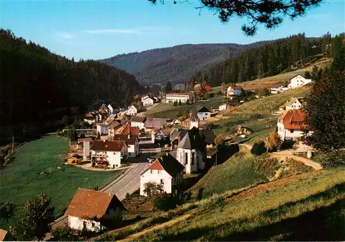 AK / Ansichtskarte  Hammereisenbach-Bregenbach Panorama