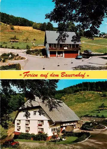 AK / Ansichtskarte  Nussbach_Schwarzwald Unterer Hohnen Hof mit Ferienhaus