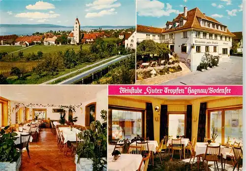 AK / Ansichtskarte  Hagnau_Bodensee Panorama Weinstube Guter Tropfen Gastraeume