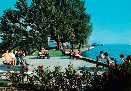 AK / Ansichtskarte  Immenstaad_Bodensee Promenade