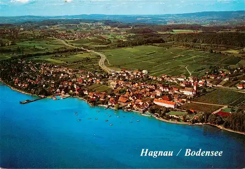 AK / Ansichtskarte  Hagnau_Bodensee Fliegeraufnahme