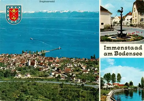 AK / Ansichtskarte 73941487 Immenstaad_Bodensee Fliegeraufnahme mit Bregenzer Wald Ortspartien