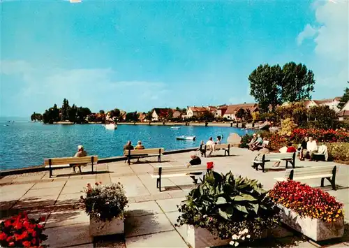 AK / Ansichtskarte  Immenstaad_Bodensee Promenade