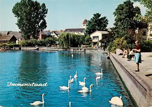 AK / Ansichtskarte  Immenstaad_Bodensee Promenade Schwaene