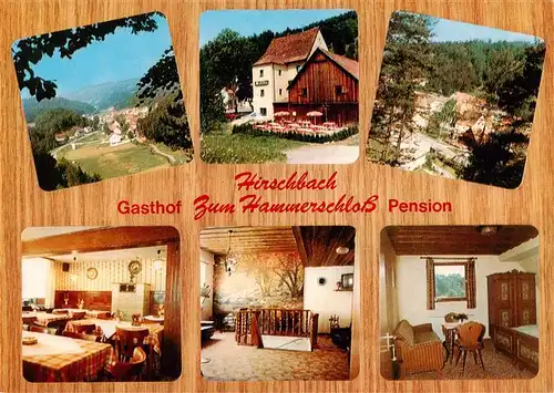 AK / Ansichtskarte  Hirschbach_Frankenalb_Oberpfalz Gasthof Pension Zum Hammerschloss Panorama