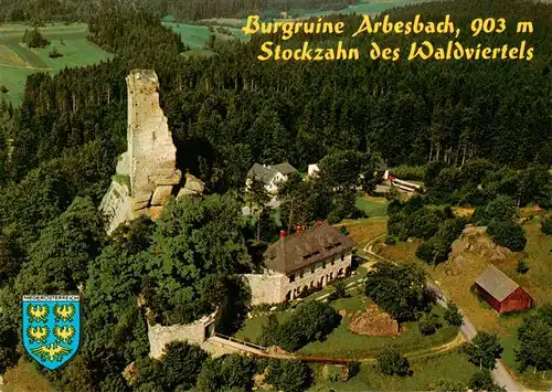 AK / Ansichtskarte 73941796 Arbesbach_Niederoesterreich_AT Burgruine Stockzahn des Waldviertels