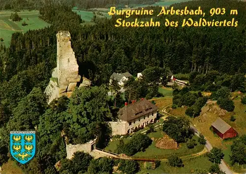 AK / Ansichtskarte  Arbesbach_Niederoesterreich_AT Burgruine Stockzahn des Waldviertels