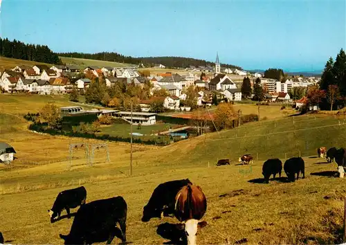 AK / Ansichtskarte  Schoenwald_Schwarzwald Panorama