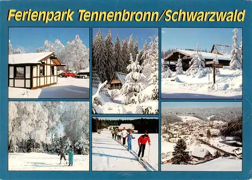 AK / Ansichtskarte 73941847 Tennenbronn Ferienpark im Winter Teilansichten Skilaufen Panorama