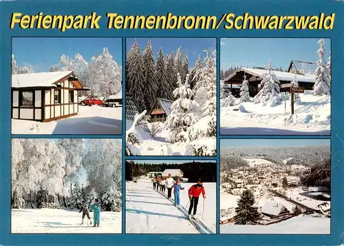 AK / Ansichtskarte  Tennenbronn Ferienpark im Winter Teilansichten Skilaufen Panorama