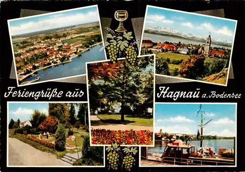 AK / Ansichtskarte  Hagnau_Bodensee Fliegeraufnahme Park Teilansichten Hafen