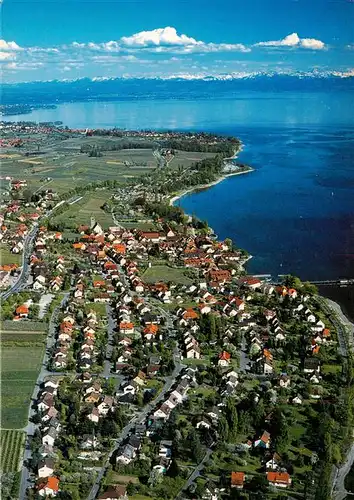 AK / Ansichtskarte  Hagnau_Bodensee Fliegeraufnahme