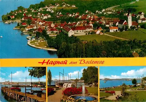 AK / Ansichtskarte 73941876 Hagnau_Bodensee Fliegeraufnahme Anlegesteg Park Seepartie