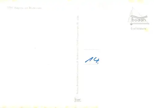 AK / Ansichtskarte  Hagnau_Bodensee Panorama Fahrgastschiff