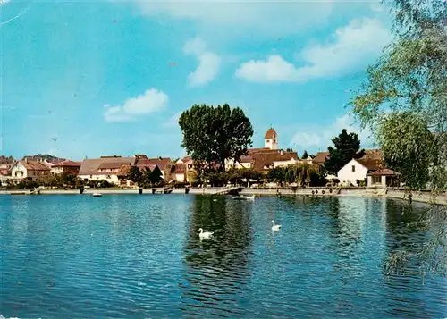 AK / Ansichtskarte  Immenstaad_Bodensee Seepartie