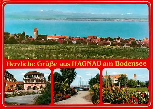 AK / Ansichtskarte  Hagnau_Bodensee Panorama Gasthaus Hafenstrasse Park