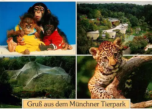 AK / Ansichtskarte 73942065 Zoo_Gardin_Zoologique-- Muenchen Jaguar Gorilla Schimpanse Orang-Utan 