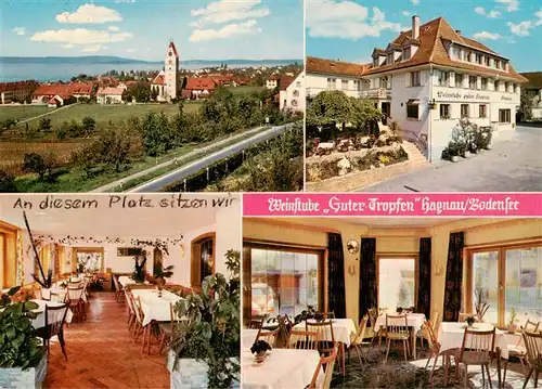 AK / Ansichtskarte  Hagnau_Bodensee Panorama Weinstube Guter Tropfen Gastraeume