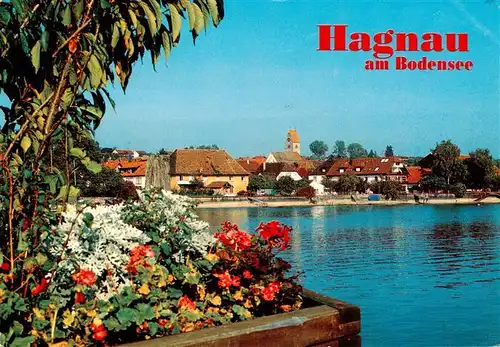 AK / Ansichtskarte 73942108 Hagnau_Bodensee Seepartie