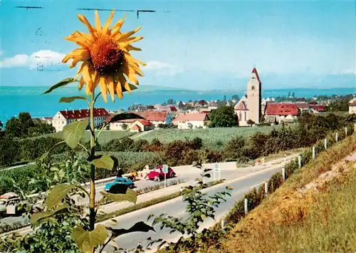 AK / Ansichtskarte  Hagnau_Bodensee Panorama mit Kirche