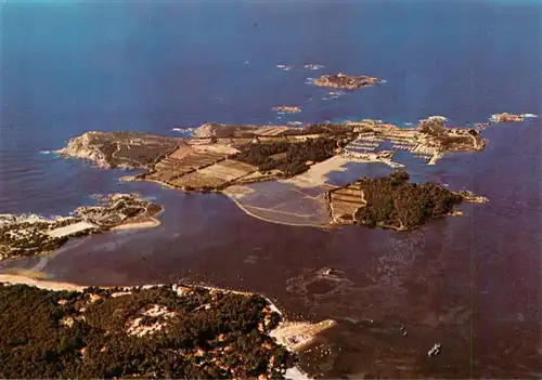 AK / Ansichtskarte  Le_Brusc-sur-Mer_83_Var Vue aérienne du port de l Ile des Embiez