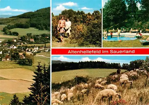 AK / Ansichtskarte  Altenhellefeld Panorama Pool Schafherde