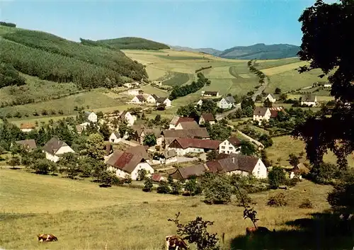 AK / Ansichtskarte 73942425 Dornholthausen_Sundern Panorama