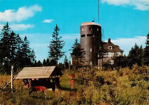 AK / Ansichtskarte  Winterberg__Hochsauerland_NRW Gaststaette Kahler Asten